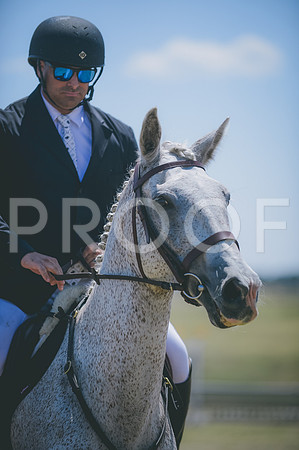JJS_8320