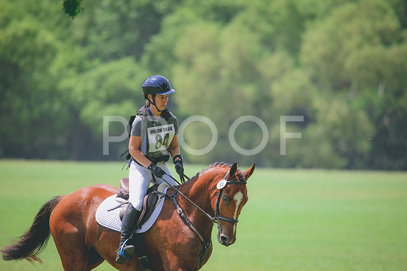RWP_4228