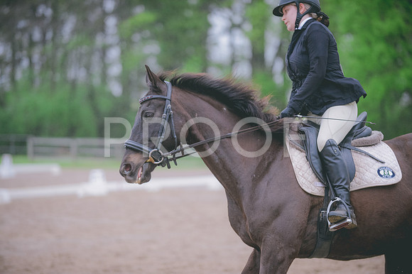 JJS_0228