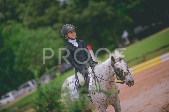 000_3937 copy