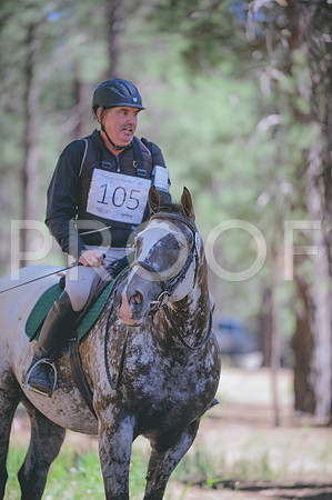 JJS_3371