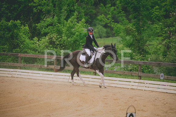 2E8A3416
