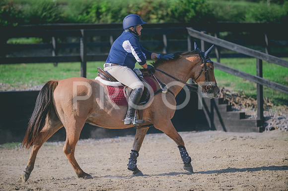 JJS_7379