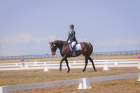 CLSL7666