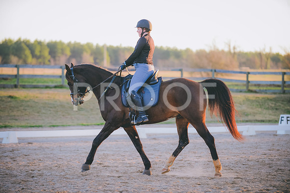 JJS_6454