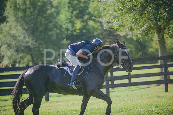 JJS_2626