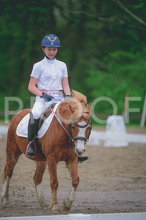 JJS_0798