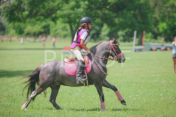 RWP_4325