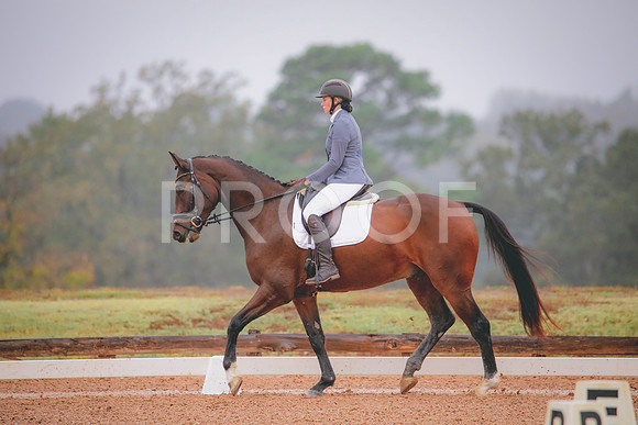 RWP_1077