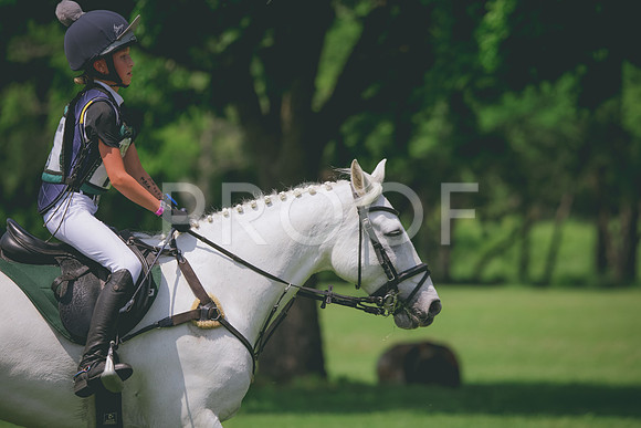 RWP_4422