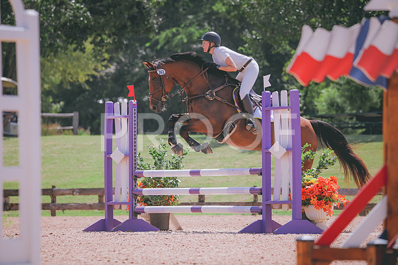 RWP_5272