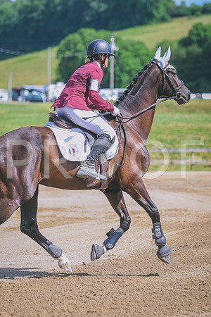 DSC_5617