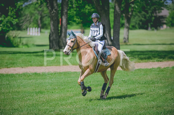 JJS_0896