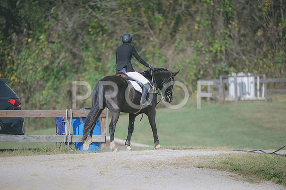 JJS_1594