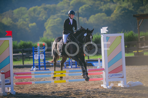 JJS_0442