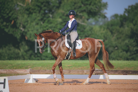 RWP_4433