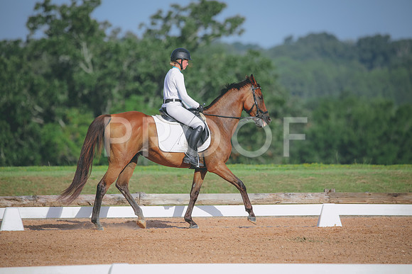 RWP_4472