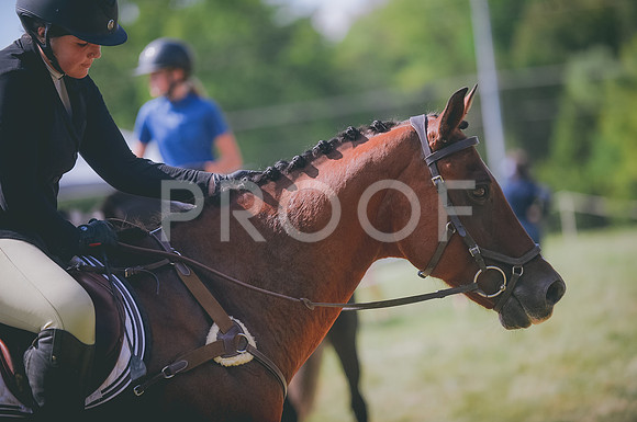 JJS_5349