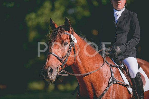 JJS_5939