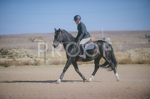 JJS_6261