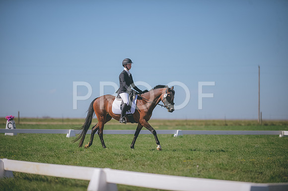 JJS_2385