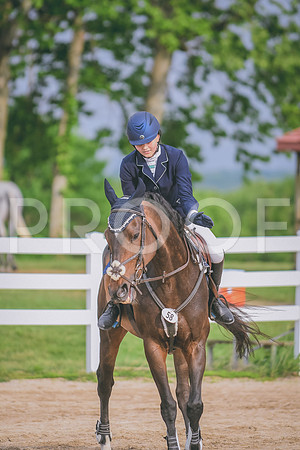DSC_6586 copy