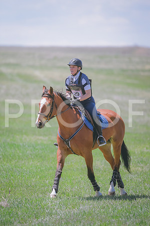 _DSC8990