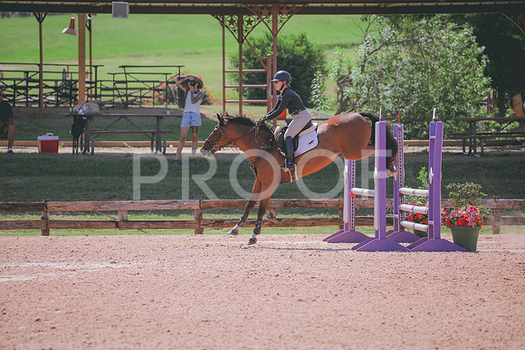 RWP_5176