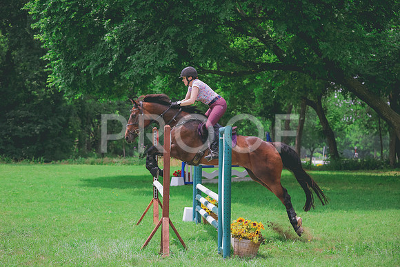JC5_4397