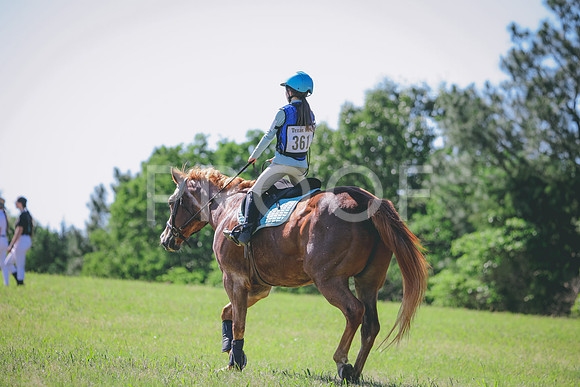 RWP_1356
