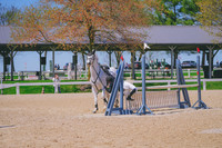 DSC02936