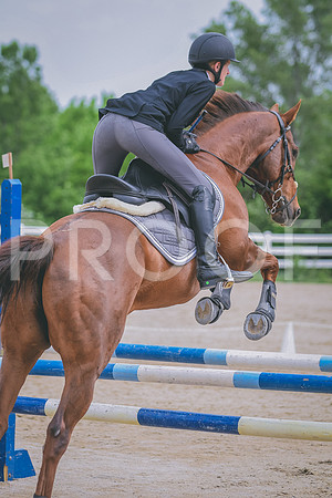DSC_2365