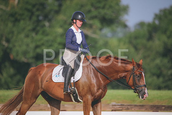 RWP_4446