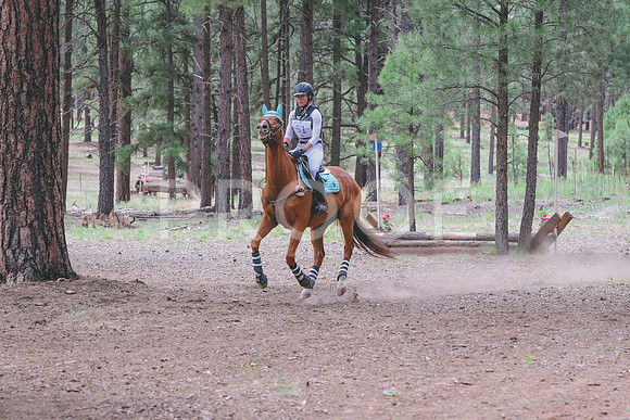DSC_1989