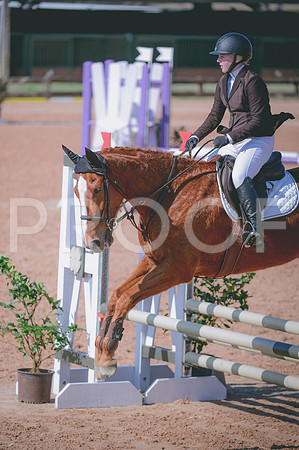 JJS_7024