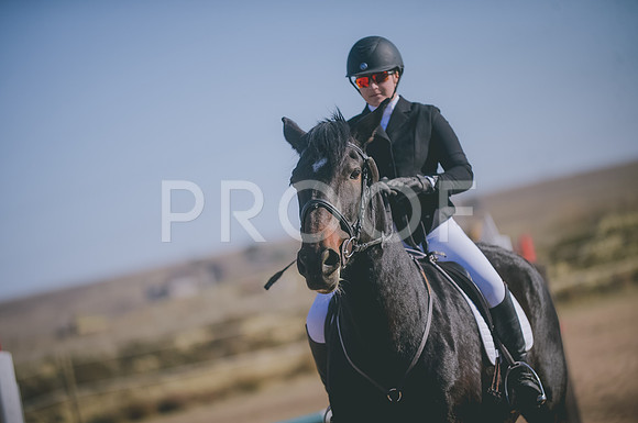JJS_1617
