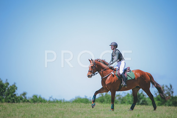 RWP_0957