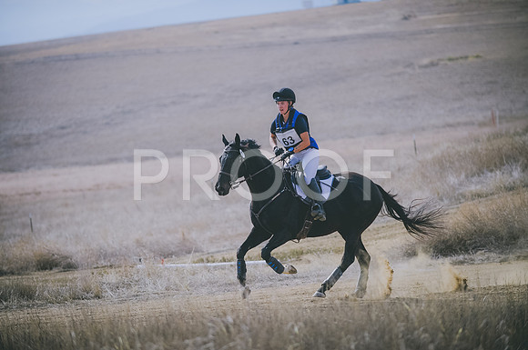 JJS_0468