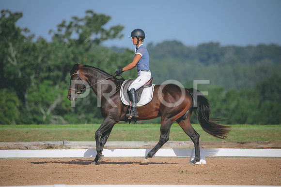 RWP_4595