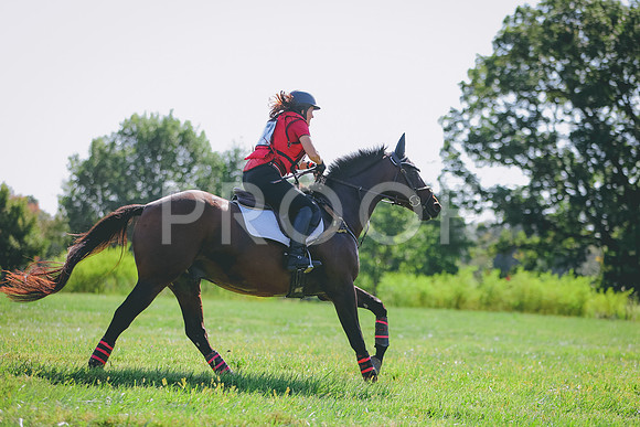 3T5A7080