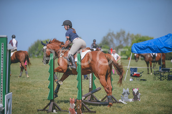 JJS_1419