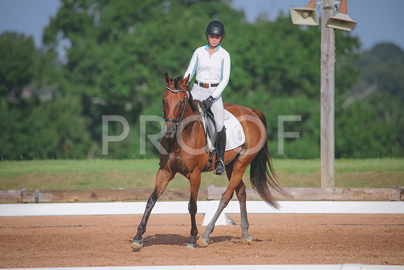 RWP_4452