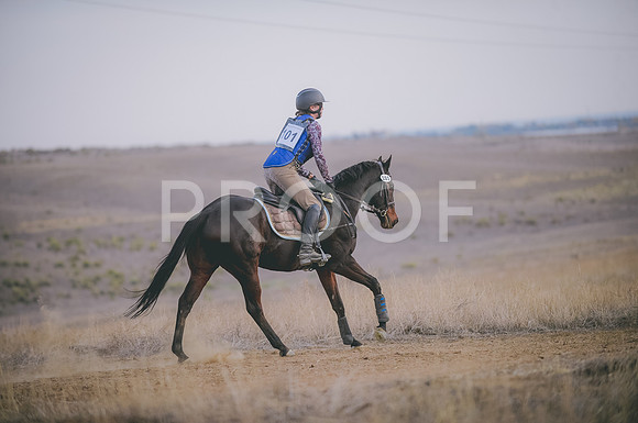 JJS_6367