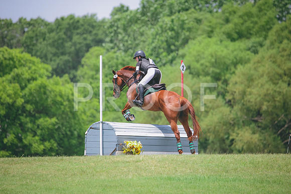 RWP_2979