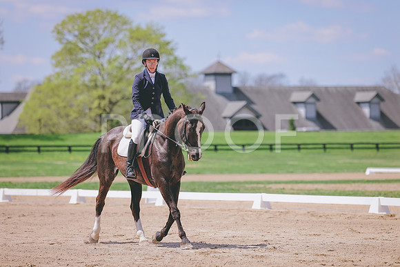 AJ6A2716