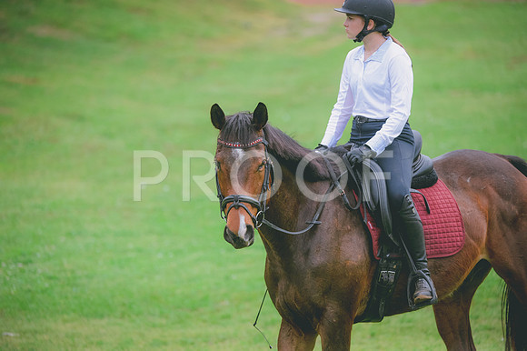 JJS_2927