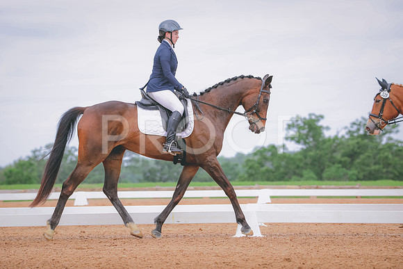 RWP_4211