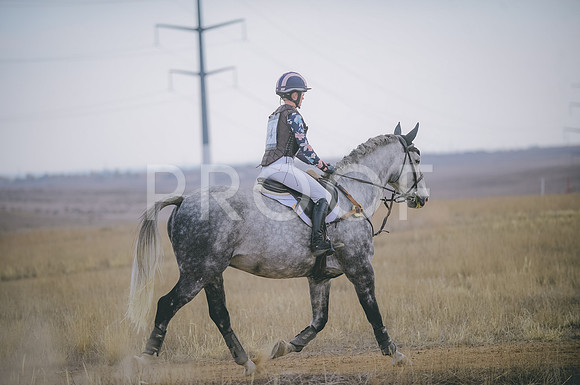 JJS_4052A