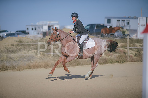 JJS_1484