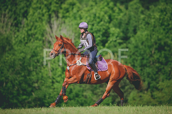 RWP_3356